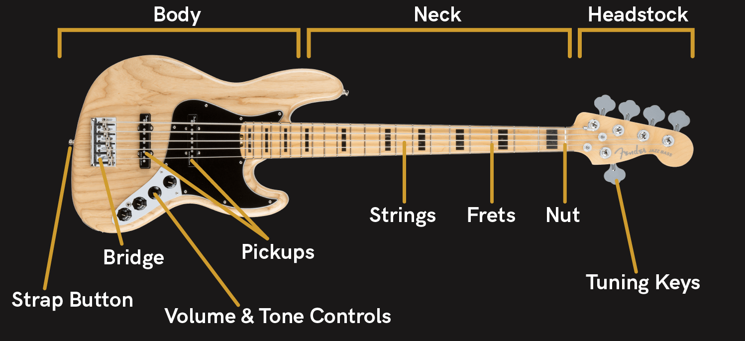 bass-guitar_anatomy